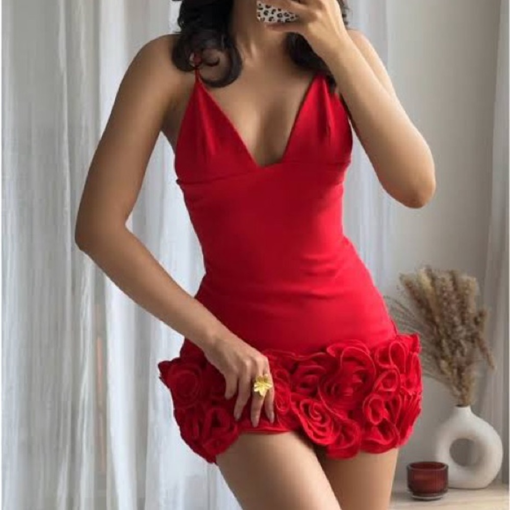 Zara red rose dress